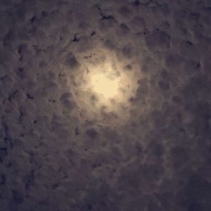 Meet your Posher, Shyleigh